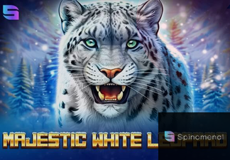 Majestic White Leopard